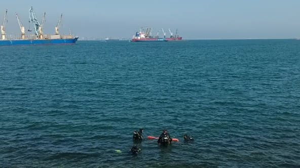 Scafandri la suprafața Mării Negre, cu o geamandură portocalie, nave comerciale și macarale portuare în fundal
